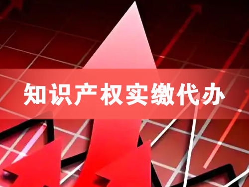 姜堰知识产权实缴资本代办